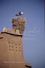 Image du Maroc Professionnelle de  Un nid de cigognes sur le toit de l'ancienne Kasbah de  Ouarzazate où résident les berbères du sud du Maroc, Vendredi 22 Août 1997. (Photo / Abdeljalil Bounhar)